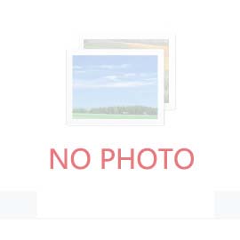 304不锈钢带由18%的铬和8%的镍组成，这使得它具有出色的耐腐蚀性能